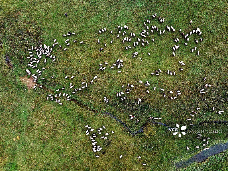 重庆巫溪红池坝牧民放羊图片素材