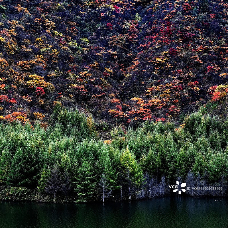 高山草甸重庆巫溪红池坝三色池景区图片素材