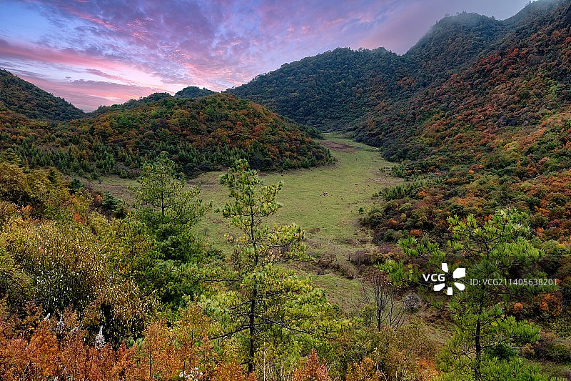 高山草甸重庆巫溪红池坝三色池景区图片素材