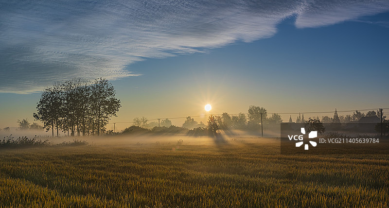 乡村秋日之晨Morning图片素材