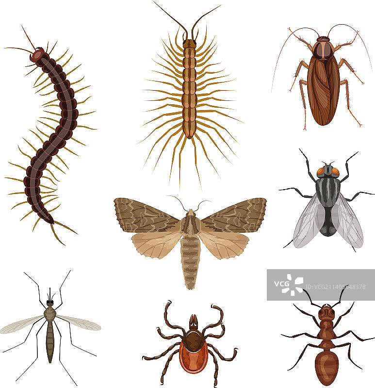 有害昆虫卡通图标集图片素材