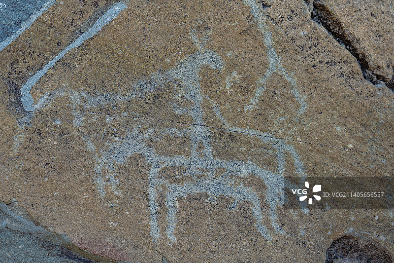 宁夏银川贺兰山岩画景区图片素材