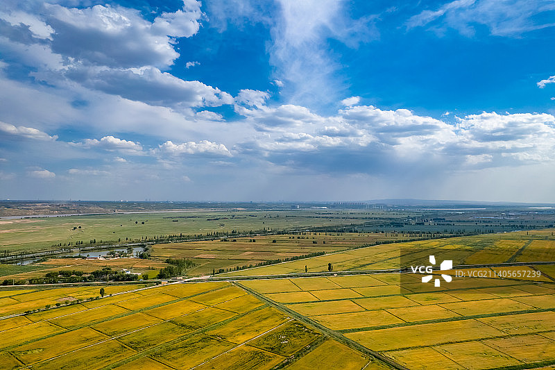 宁夏平原黄河两岸金秋金色稻田图片素材