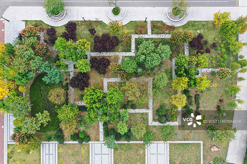 山东枣庄山亭区城市公园秋景美图片素材