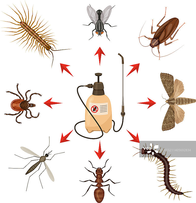 有害昆虫卡通信息图图片素材