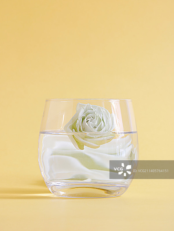 透过玻璃杯中的水折射下的鲜花洋桔梗图片素材