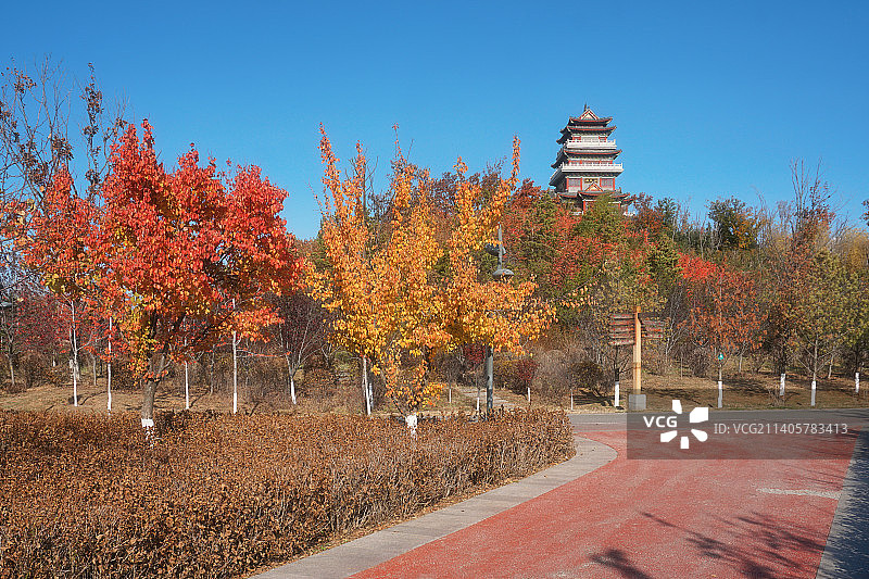 四平市植物园秋季风光图片素材