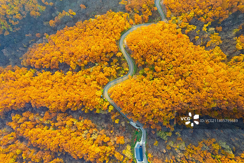 曲径之路图片素材