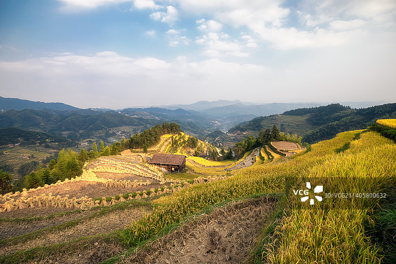 文田芭蕉村图片素材