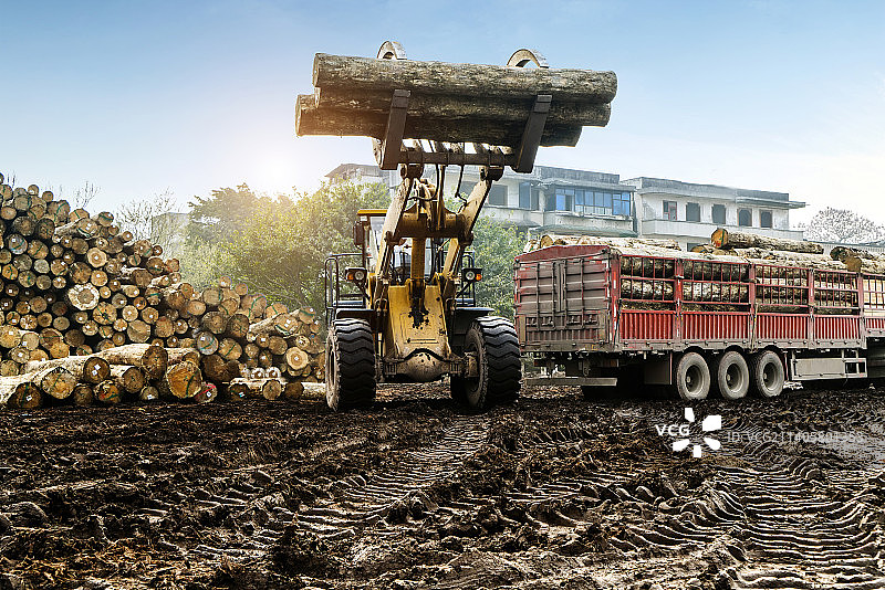 木材厂叉车搬运木材图片素材