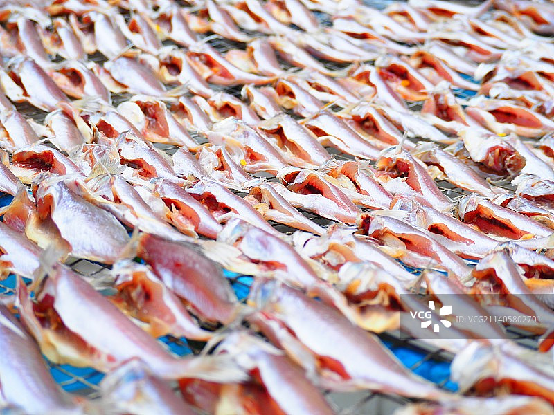 海產干貨图片素材