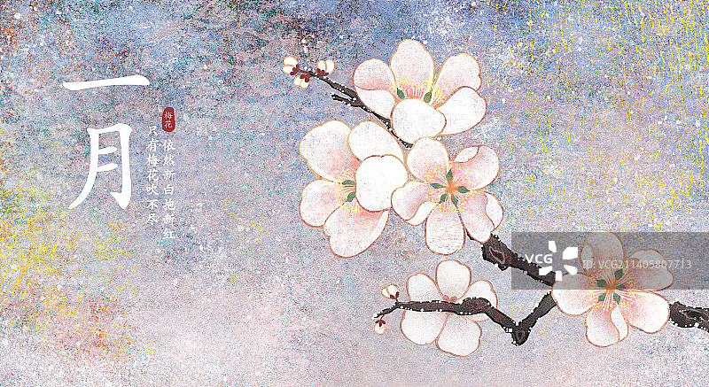 肌理岩彩风格植物系列一月梅花图片素材