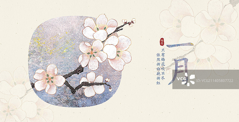 肌理岩彩风格植物系列一月梅花图片素材