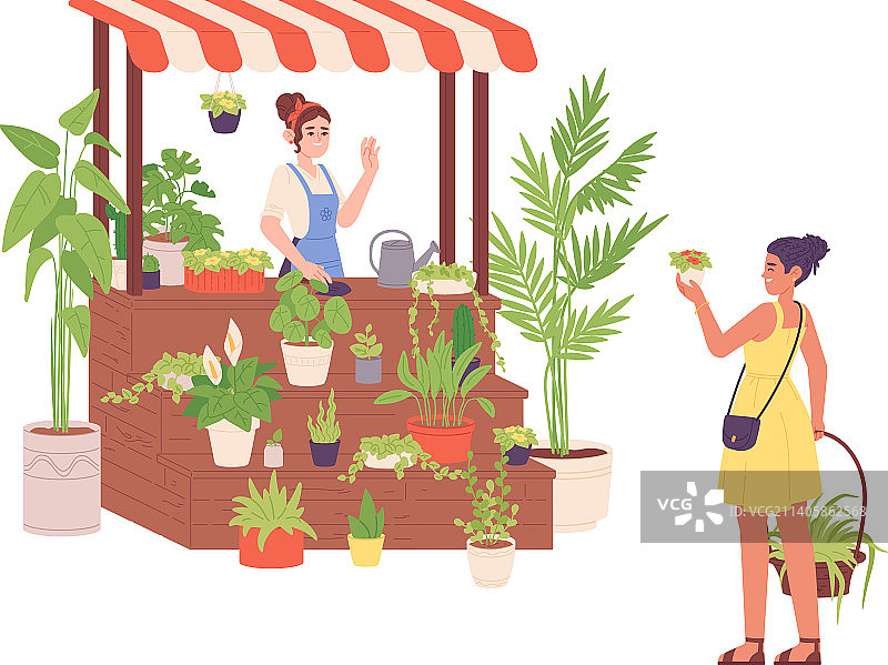 当地植物商店街的盆栽植物销售图片素材