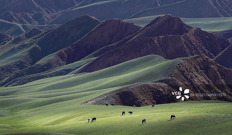 塔城地区巴音沟雅丹草原图片素材
