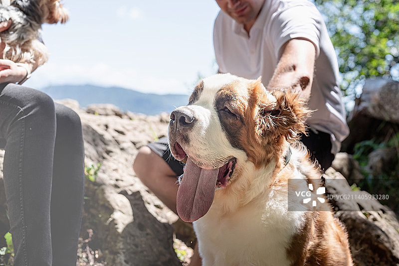 年轻夫妇带狗山间旅行图片素材