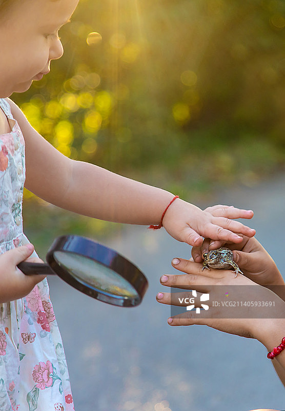 孩子在玩青蛙（选择性聚焦）图片素材