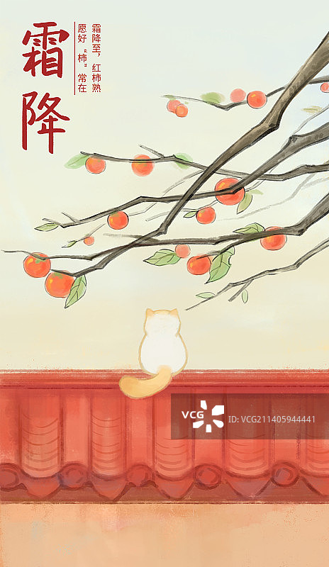 秋天霜降传统节气红墙上猫咪望着柿子树插画图片素材
