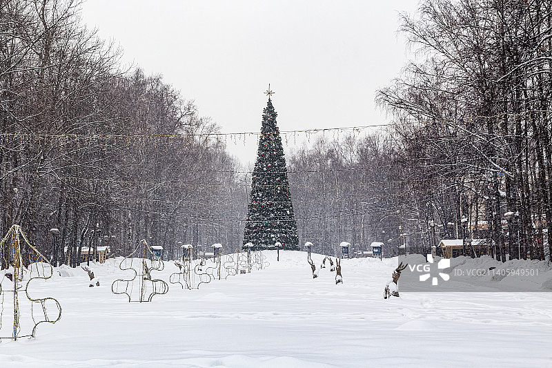 俄罗斯公园里优雅的圣诞树图片素材