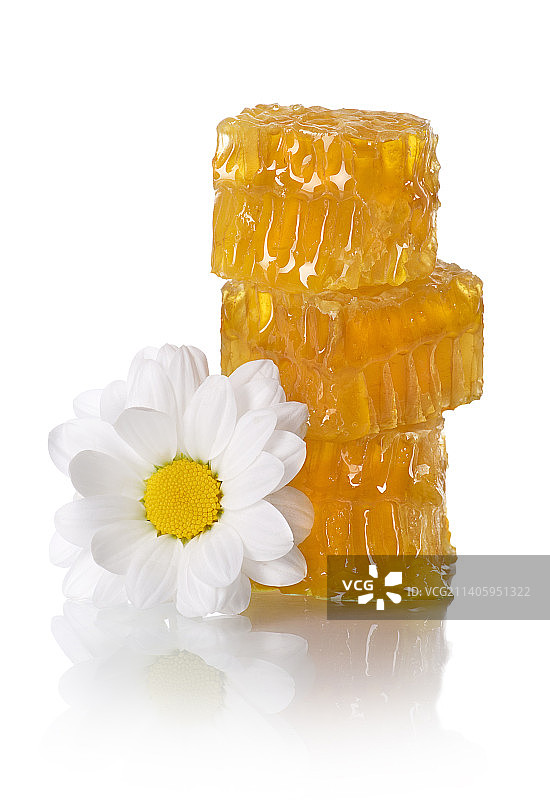 白色背景上带水的白色花朵特写图片素材