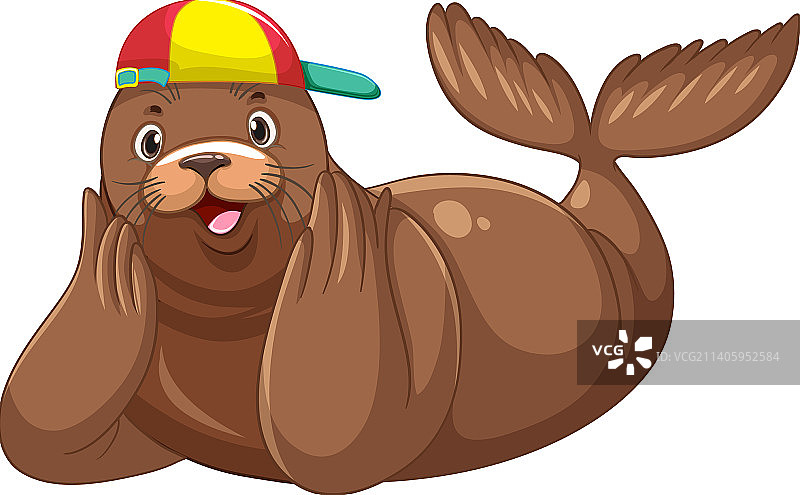 戴着帽子的可爱海狮，在白色背景上图片素材