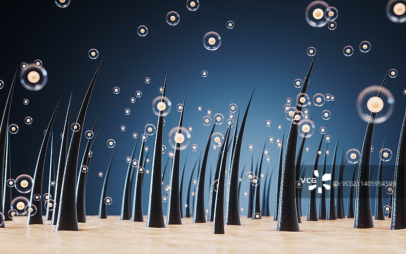 头发与皮肤3D渲染图片素材