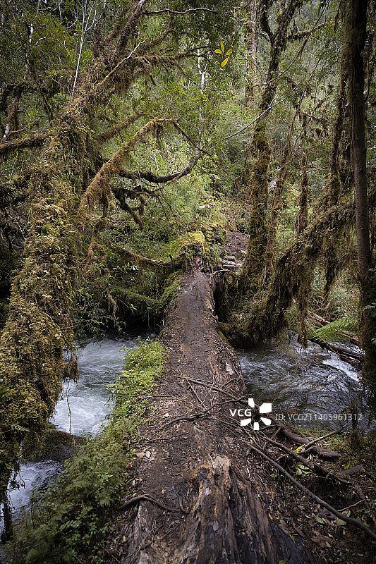 智利阿莱塞安迪诺国家公园的河流美景图片素材