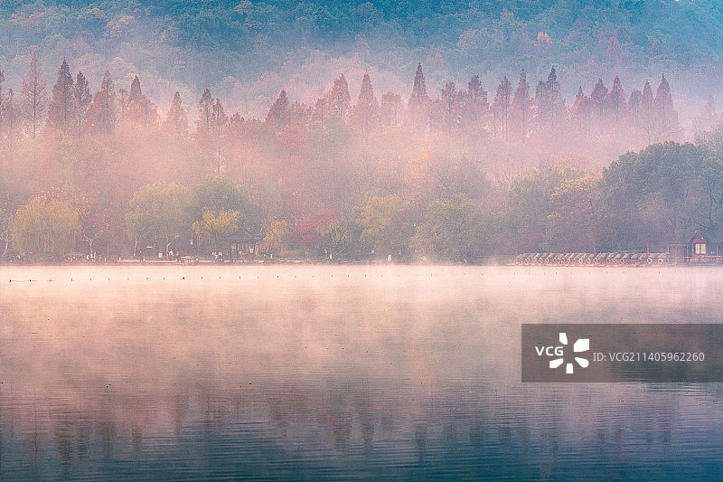 花港观鱼雾中西湖图片素材