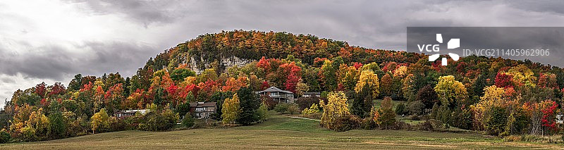 秋季加拿大Derry Rd W的树木景观图片素材