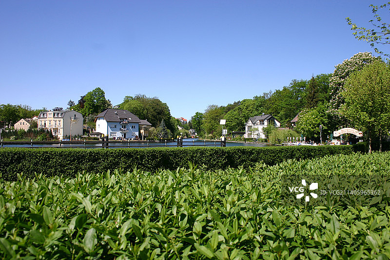 晴朗的蓝天下，农田景色优美图片素材