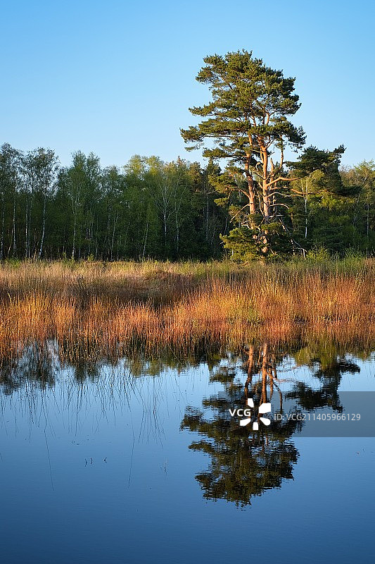 德国汉堡费尔德韦格的湖泊美景图片素材