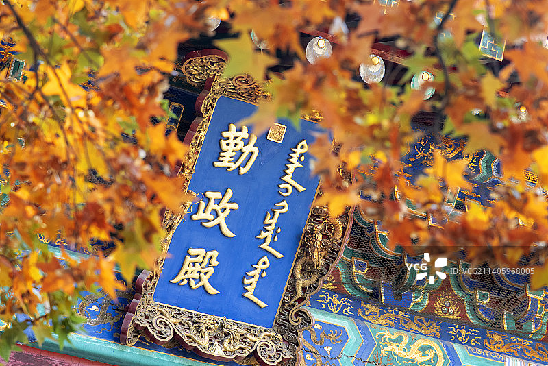 香山初染秋色图片素材