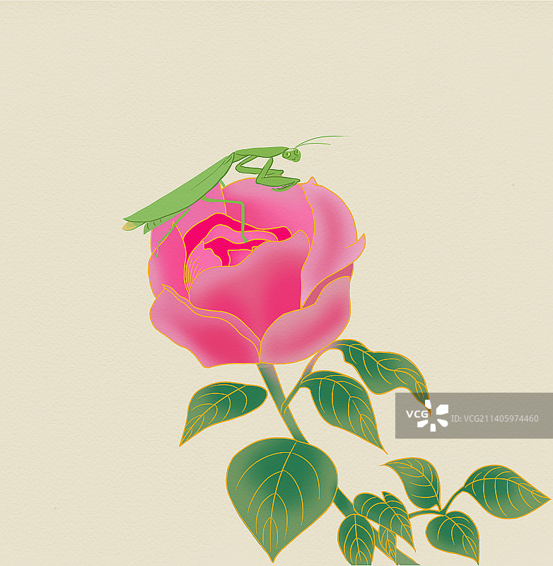 中国风新中式古风古典传统中国画花鸟画昆虫植物花卉插画图片素材