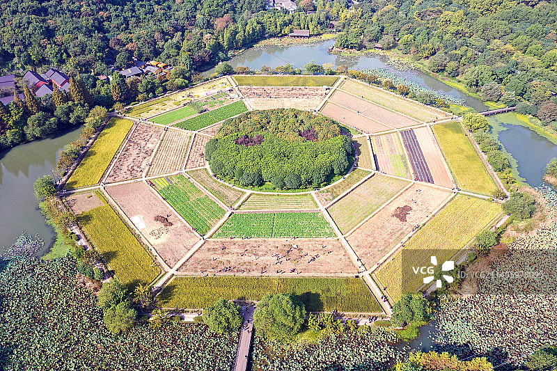 八卦田图片素材