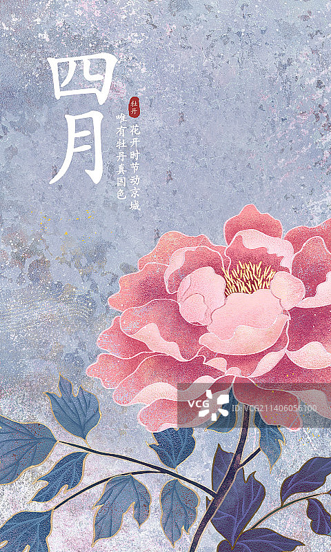 肌理岩彩风格植物系列四月牡丹图片素材