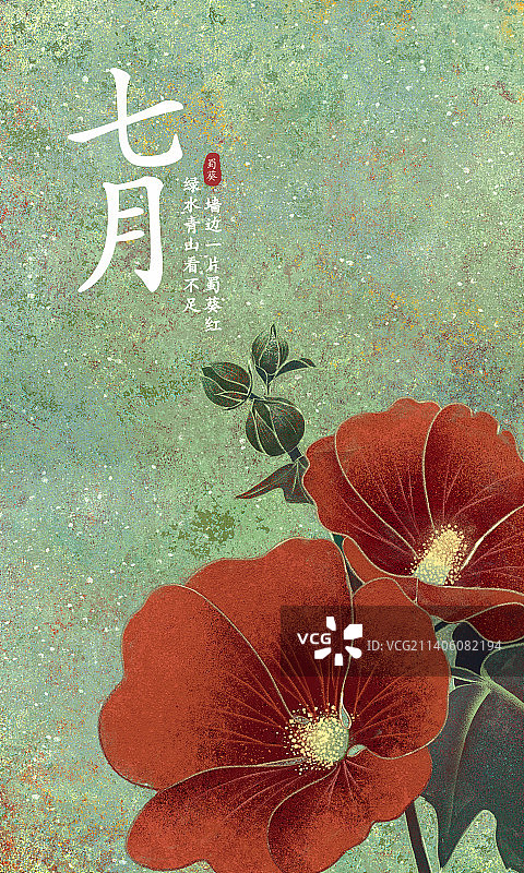 肌理岩彩风格植物系列七月蜀葵图片素材