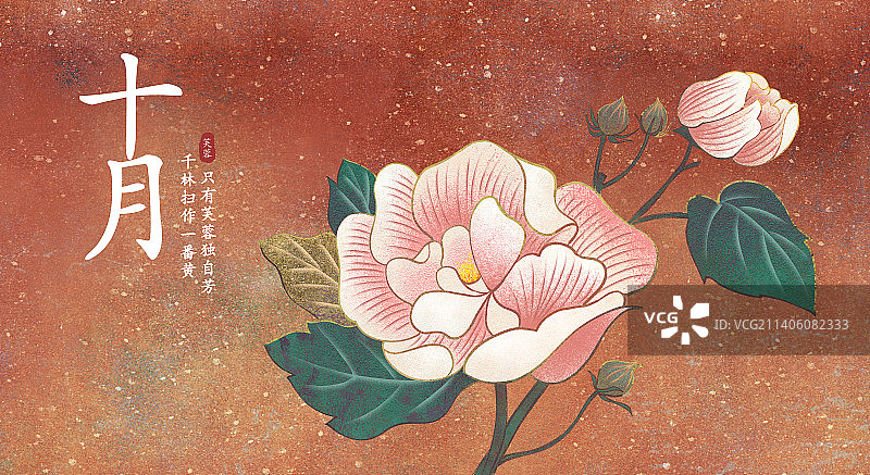 肌理岩彩风格植物系列十月芙蓉花图片素材