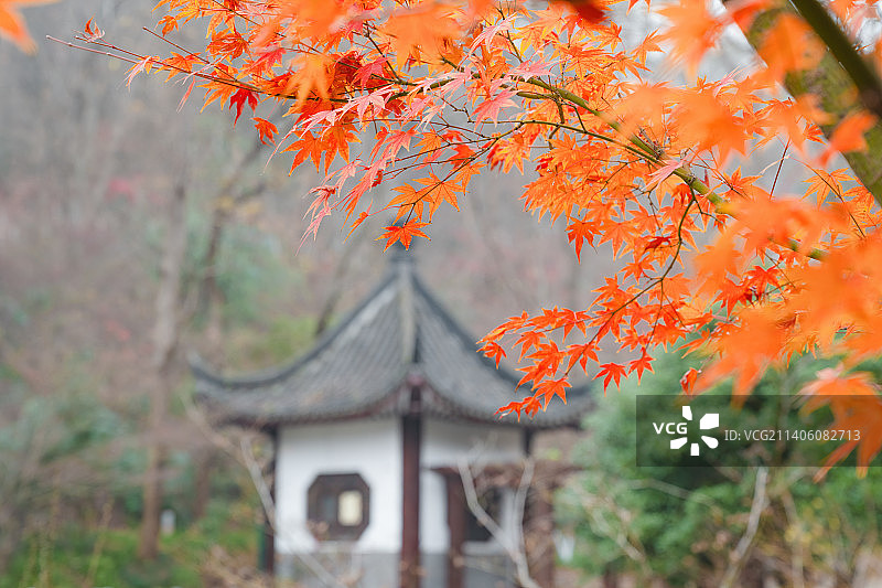 栖霞山秋色图片素材