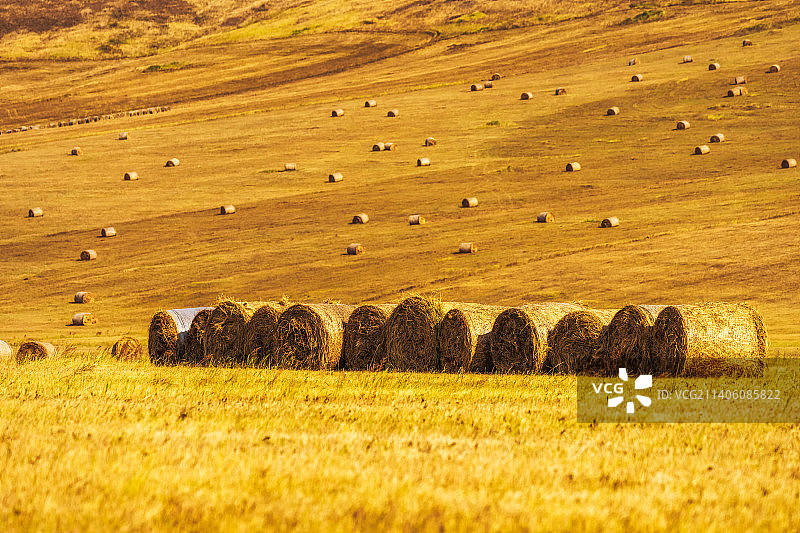 内蒙古呼伦贝尔大草原额尔古纳河畔牧场上秋季金色的干草卷户外风光图片素材