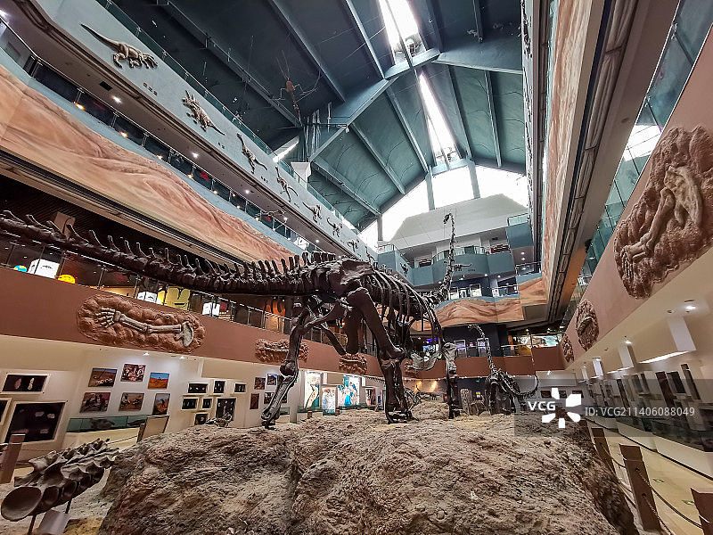 新疆恐龙博物馆图片素材