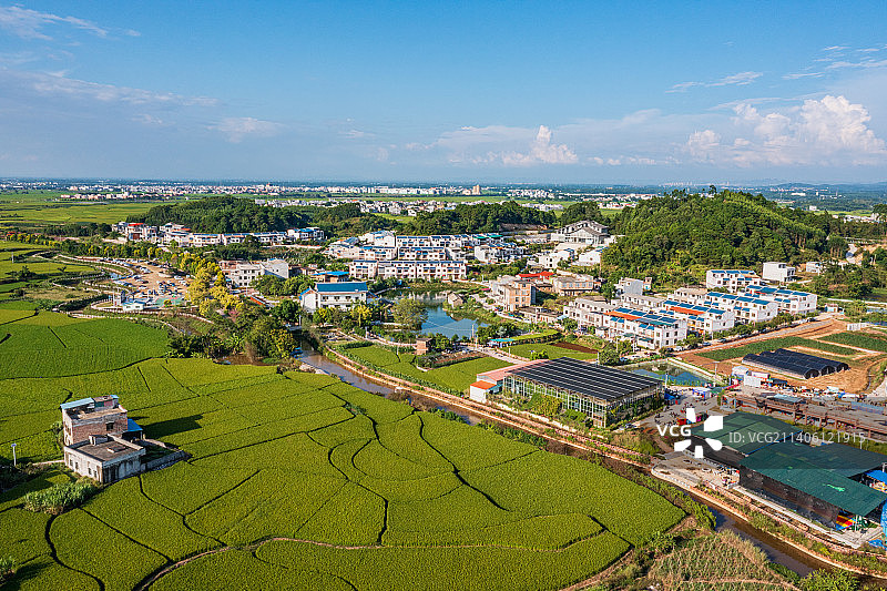 宾阳稻田艺术图片素材