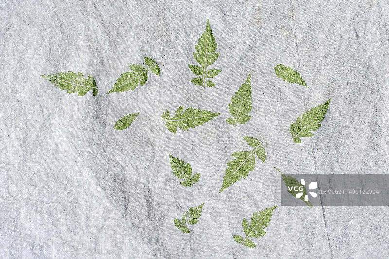 白色织物上树叶拓印的高角度视图图片素材