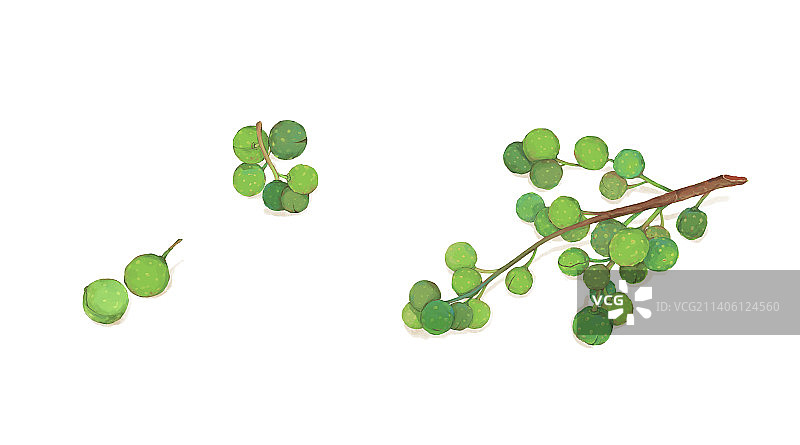 调味料图片素材