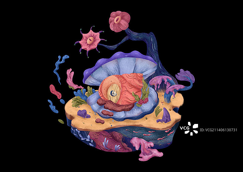 海螺植物小场景图片素材