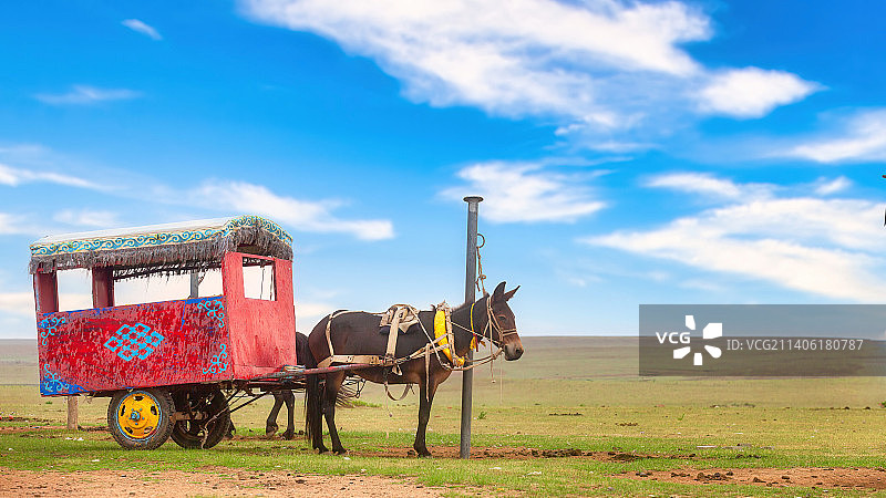 内蒙古希拉穆仁草原，呼伦贝尔大草原图片素材