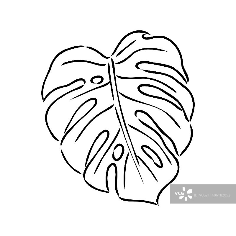 异国情调的蒙斯特拉连续单线绘画图片素材