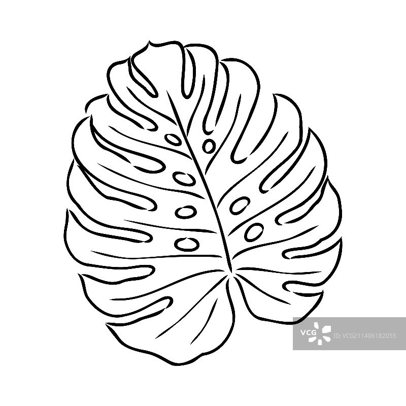 异国情调的蒙斯特拉连续单线绘画图片素材