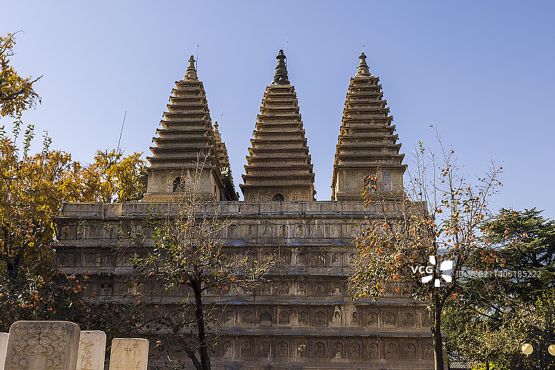真觉寺之秋柿图片素材