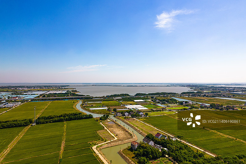 江苏苏州田园乡村稻田秋天自然风景航拍图片素材