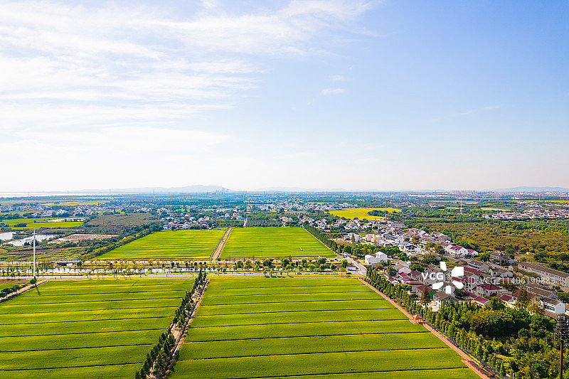 江苏苏州田园乡村稻田秋天自然风景航拍图片素材